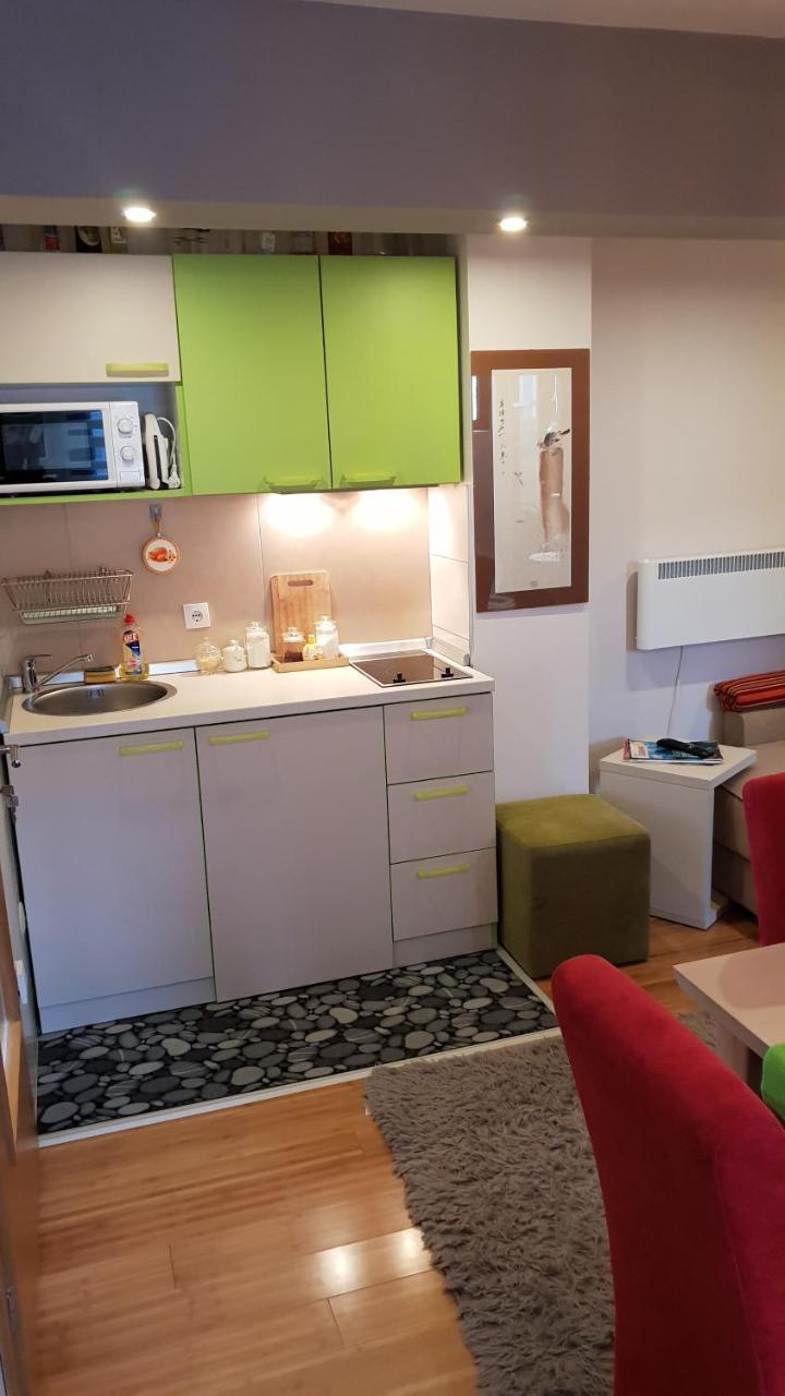 Apartman Konak 23-4 Zlatibor Exterior foto